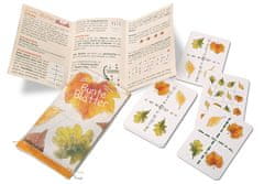 NSV igra s kartami Bunte Blätter nemška izdaja