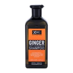 Xpel Ginger 400 ml šampon proti prhljaju za ženske