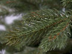 LAALU.cz Okrašeno umetno božično drevo z 222 okraski POLAR RED II 450 cm s stojalom in božičnimi okraski