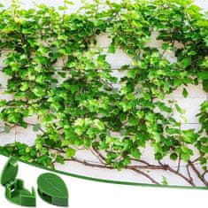 HOME & MARKER® Držalo za rastline v obliki listov, Opora za plezalke, Samolepilno držalo za veje (20 kosov) | LEAFCLIP