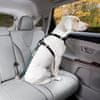 Kurgo Kurgo Pas za pse v avtomobilu neposredno na varnostni pas, modri