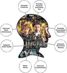 Aquarius Puzzles Puzzle Harry Potter: Filmski plakati 1000 kosov