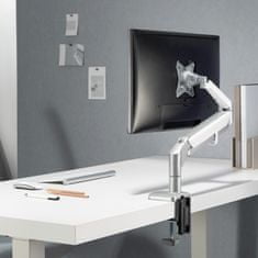 Ergo Office ergo office siv nosilec za monitor, z vzmetjo, 17"-32", 9 kg, er-405g
