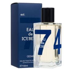 Iceberg Eau de Iceberg Cedar 100 ml toaletna voda za moške