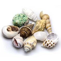 HOBBY aquaristic HOBBY Sea Shells Set M 10kosov - dekoracija za akvarij
