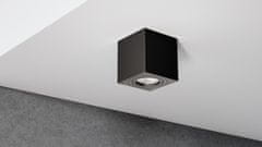 LED Labs Stropna nadometna svetilka NORD - črna