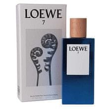 Loewe Loewe - 7 Loewe EDT 100ml 