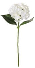 Shishi Bela hortenzija 66 cm