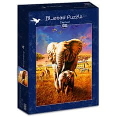 BlueBird print Elephant puzzle 1000 kosov