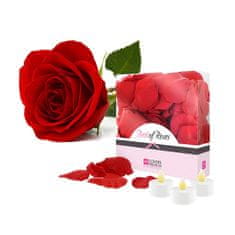 Lovers Premium Listi cvetov rdečih vrtnic in 3 LED svečke (R22002)