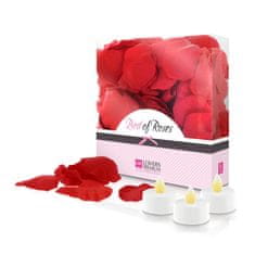 Lovers Premium Listi cvetov rdečih vrtnic in 3 LED svečke (R22002)