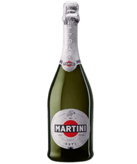 Martini Peneče vino Asti 0,75 l