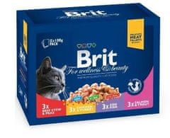 Brit Premium mokra hrana za mačke, družinski izbor, 100 g, 12 kos