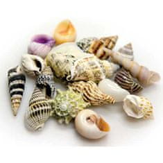 HOBBY aquaristic HOBBY Sea Shells Set L 5kosov - dekoracija za akvarij