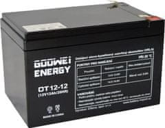 GOOWEI ENERGY Rezervna baterija VRLA AGM 12V/12Ah (OT12-12)