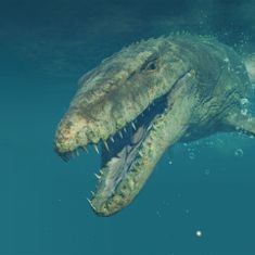 Sold Out Jurassic World Evolution 2 igra (PS5)