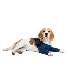 MPS Pooperačné ochranné oblečenie na obe predné nohy psa 17 cm, prsni obseg: 40-54 cm