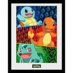 GB eye Pokémon Uokvirjeni plakat - Začetniki