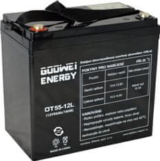 GOOWEI ENERGY Rezervna baterija VRLA GEL 12V/55Ah (OTL55-12)