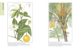 Rayher.	 Knjiga The Kew Book of Botanical Illustration