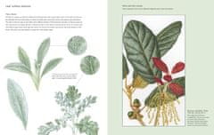 Rayher.	 Knjiga The Kew Book of Botanical Illustration