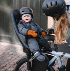 Thule Yepp 2 Maxi otroški sedež za kolo, za okvir, svetlo siv