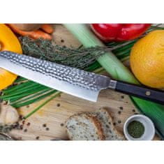 KOTAI profesionalni kuhinjski nož | Kiritsuke, 210mm