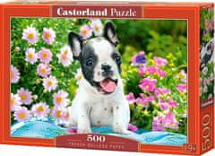 Castorland Francoski buldog, mladiček Puzzle 500 kosov