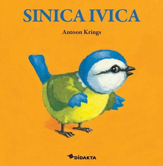Sinica Ivica, Antoon Krings (trda, 2013)
