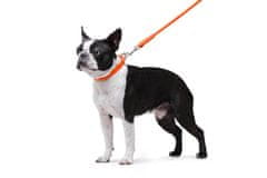 WAUDOG okrogla usnjena oranžna ovratnica za dolgodlake pse, Oranžna 17-20 cm, širina ovratnika: 6 mm