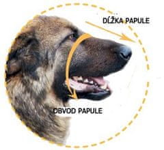 Dogextreme Usnjen nagobčnik za majhnega psa Rottweilerja
