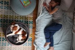 Curver Knit postelja za male živali, peščena