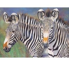 ROYAL Langnickel Slikanje po številkah - zebre