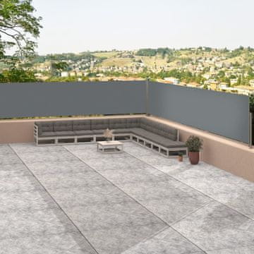 Vidaxl vidaXL Zložljiva stranska tenda antracitna 117x1200 cm