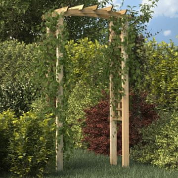 Vidaxl vidaXL Vrtna pergola z rešetko, 110x60x210 cm, borovina