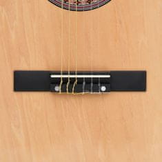 Greatstore Akustična kitara 12-delni komplet s 6 strunami 38"