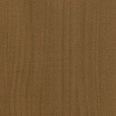 Vidaxl Vrtno cvetlično korito medeno rjavo 100x50x70 cm trdna borovina