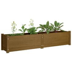 Vidaxl Visoka greda medeno rjava 150x31x31 cm trdna borovina
