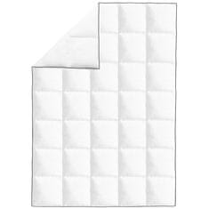 Vidaxl Zimska prešita odeja z gosjim perjem 2 kosa 155x220 cm