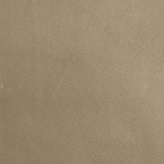 Greatstore Naslon za noge, cappuccino, 78x56x32 cm, umetno usnje