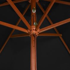 Greatstore Zunanji senčnik z lesenim drogom črn 200x300 cm