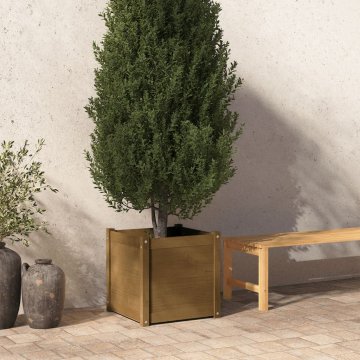 Vidaxl Vrtno cvetlično korito medeno rjavo 50x50x50 cm trdna borovina