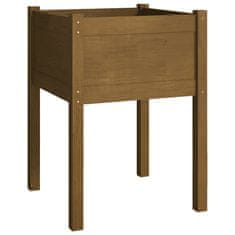 Vidaxl Vrtno cvetlično korito medeno rjavo 50x50x70 cm trdna borovina