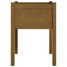 Vidaxl Vrtno cvetlično korito medeno rjavo 50x50x70 cm trdna borovina