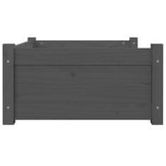 Vidaxl Pasja postelja siv 75,5x55,5x28 cm trdna borovina