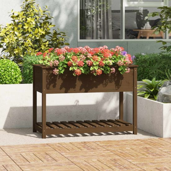 Vidaxl Visoka greda s polico medeno rjava 111,5x54x81cm trdna borovina