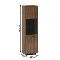 KONDELA Enovratna vitrina Delis A1 - hrast bolzano / črna