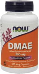 NOW Foods DMAE, dimetilaminoetanol, 250 mg, 100 kapsul