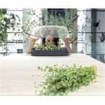 Prosperplast Sadilnik RESPANA TABLE GREENHOUSE antracit 39,1 cm