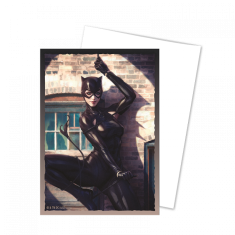 Dragon Shield DS100 Brushed Art - št. 4 Catwoman - ovitki za kartice